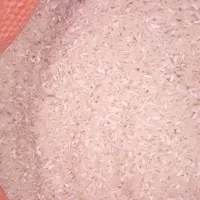 برنج فجر سوزنی