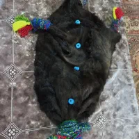 خیگ|صنایع دستی و سایر لوازم تزئینی|ایذه, |دیوار