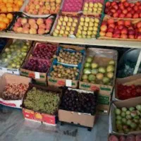 اجاره میوه فروشی آماده به کار با مشتری ثابت