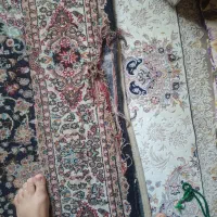 یک فرش کناره ۱۷۵در۱۵۵|فرش|قم, شهر قائم|دیوار