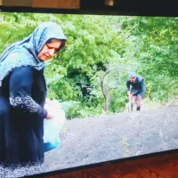 ۴۸ اینچ سامسونگ ال ایدی|تلویزیون و پروژکتور|اشنویه, |دیوار