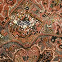 چند تخته فرش دستباف|فرش|تهران, نظامی گنجوی (توانیر)|دیوار