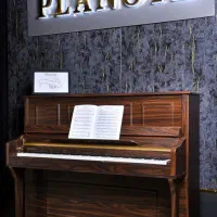 سازهای دیجیتالی|پیانو، کیبورد، آکاردئون|نیشابور, امام خمینی|دیوار