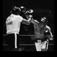 مربیگری ورزش بوکس