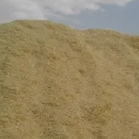 کاه ( سامان )پاتوز