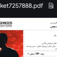 بلیت کنسرت ۱۷ام محسن یگانه VIP (ردیف اول صندلی (۶)