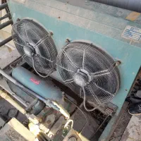 تعمیرات تخصصی یخچال فریزر و تمامی لوازم خانگی|خدمات پیشه و مهارت|اهواز, کوی سعدی|دیوار