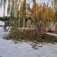 خدمات باغبانی