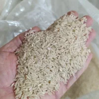 فروش برنج طارم فجر|خوردنی و آشامیدنی|دره شهر, |دیوار