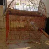 قفس پرنده