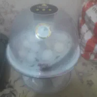 دستگاه جوجه کشی کاکس ۱۰ تایی