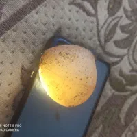 سنگ قیمتی اصل