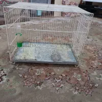 قفس|لوازم جانبی حیوانات|سبزوار, امام خمینی (ناوی)|دیوار