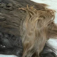 فروش و خریدموهای طبیعی