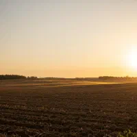 فروش فوری زمین ۲۳۷ متری