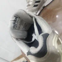 یک جفت کتونی اورجینال سالم|کیف، کفش، کمربند|پاکدشت, پاکدشت (مامازند)|دیوار