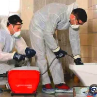 لوله بازکنی تضمینی (بافنرجداگانه)سراسرشهر|خدمات پیشه و مهارت|نیشابور, هفده شهریور|دیوار