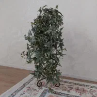 گلدان برگ انجیری