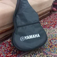 گیتار دیاموند|گیتار، بیس، امپلیفایر|نوشهر, |دیوار