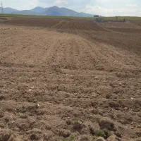 فروش 1000 متر زمین کشاورزی سنددار جهت خانه باغ|فروش زمین و ملک کلنگی|سقز, |دیوار