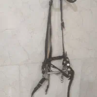 دهنه اسب زیبا وچرم مرغوب|اسب و تجهیزات اسبسواری|قزوین, |دیوار