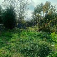 فروش زمین ۴۶۵متری|فروش زمین و ملک کلنگی|شاندرمن, |دیوار