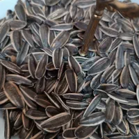 تخمه ارگانیک|خوردنی و آشامیدنی|دهگلان, |دیوار