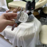 اصلاح درماپلنینگ و پاکسازی پوست فقط۶۰۰