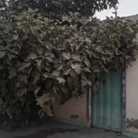 خانه ویلایی دربست دارای حیاط و زیرزمین،شهرک چمران