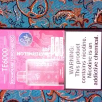 پاد ۶۰۰۰ قابل شارژ