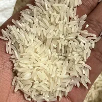 فجر سوزنی فوق‌ العاده