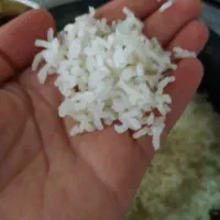 برنج سر لاشه طارم هاشمی شمال معطر خوش پخت|خوردنی و آشامیدنی|اصفهان, کوی امام|دیوار
