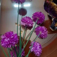 گلدان قدیمی و سنگین|گل مصنوعی|زنجان, |دیوار