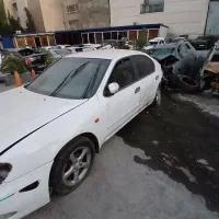 ماکسیما ۹۱  تصادفی