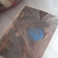 فروش ابزار نخ پشمی و مرینوس.نخ چله پنبه