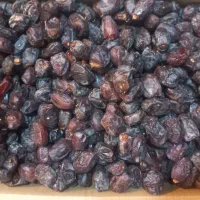 خرما|خوردنی و آشامیدنی|تهران, مطهری|دیوار