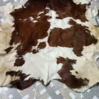 پوست گوسقندی بزرگ