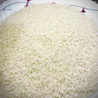 چمپا درجه یک