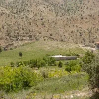 فروش و معاوضه از 1000متر تا 20هکتار