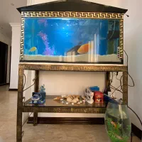 فروش آکواریوم بزرگ (خالی بدون ماهی)