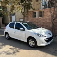 پژی ۲۰۷پانا ارتقا پا ب خشک