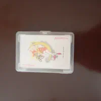 پاستور خارجی اصل