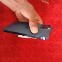 اپل iPhone 12 Pro با حافظهٔ ۲۵۶ گیگابایت|موبایل|تربت‌حیدریه, شهرک ولیعصر|دیوار