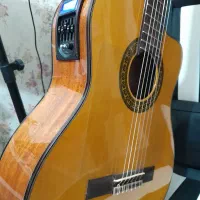 گیتار اندرس پیکاپ خور|گیتار، بیس، امپلیفایر|شیراز, میانرود|دیوار