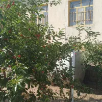 ویلا باغ در مزلقان|فروش خانه و ویلا|تهران, شهرک صادقیه|دیوار