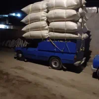 کاه دیم تحویل درب دامداری