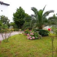 پارکویلای1700متری+فرنیشکامل+پلاکصفرجنگل+سندتکبرگ|فروش خانه و ویلا|نوشهر, |دیوار