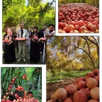 تور بزرگ جشن انار هورامان