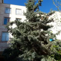 سلمان-فارسی-فاز-3