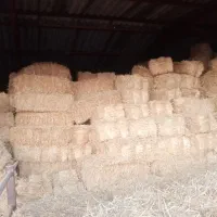 فروش یونجه وسفال گندم به صورت کلی|عمده‌فروشی|نیشابور, ریوند|دیوار